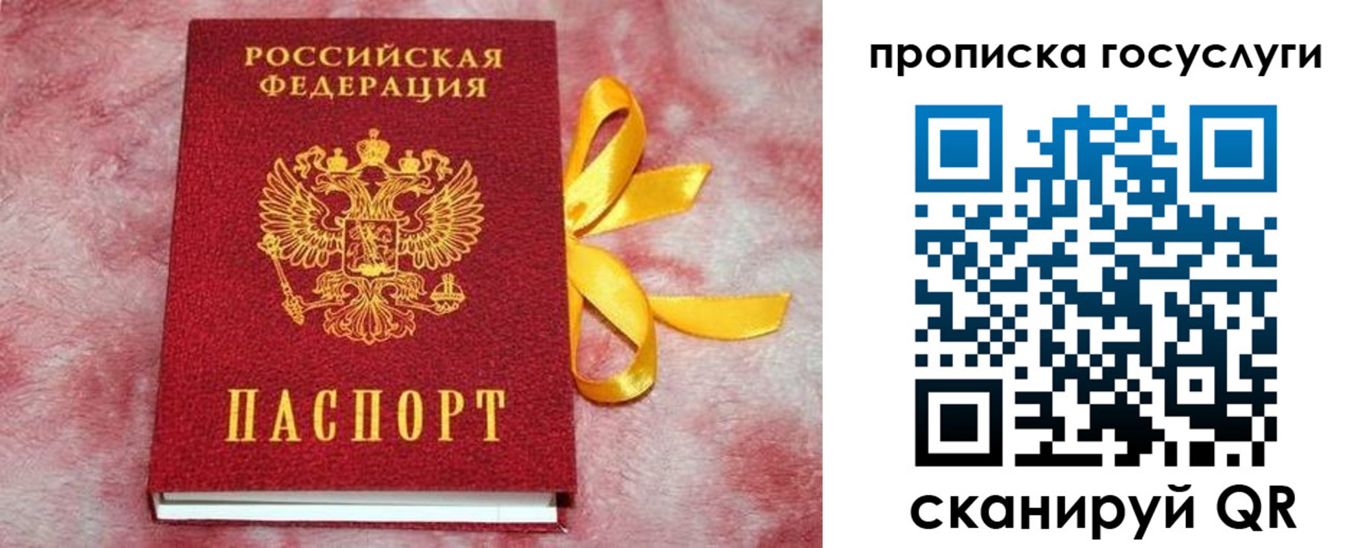 прописка законно в Волгодонске